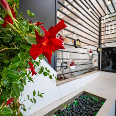 Mato Appartamento Sarandë